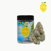 Seed Junky | Lemon Fruz | Pre-Pack | [7g] | Sativa