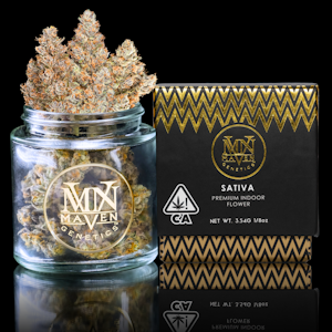 MAVEN GENETICS - BluZangria - 3.5g (S) - Maven Genetics
