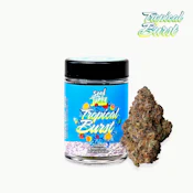 Seed Junky | Tropical Burst | Pre-Pack | [7g] | Sativa