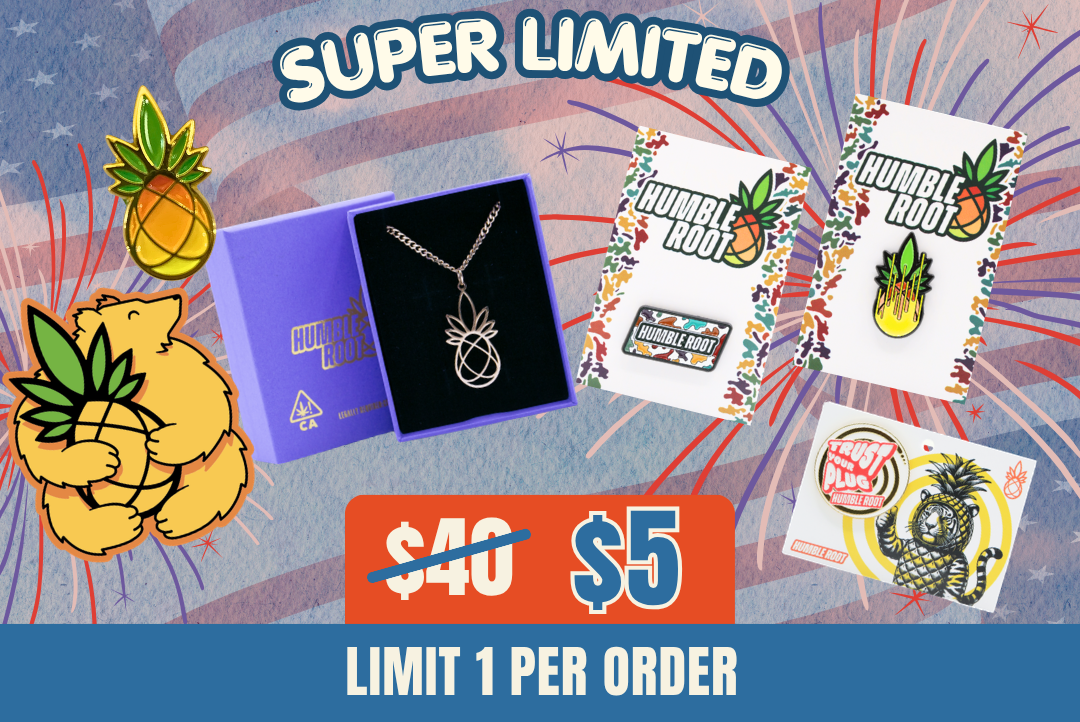 $5 Pin-apple Goodie Bag picture