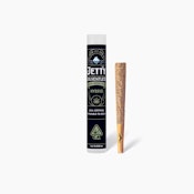 Jetty | Gush Mintz x Strawberry Burger | Solventless Infused Pre-Roll | [1g] | Hybrid