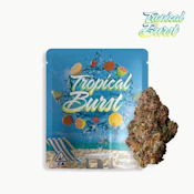 Seed Junky | Tropical Burst | Pre-Pack | [3.5g] | Sativa