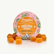 Smokiez | Sweet Watermelon | Live Resin Gummies | [100mg] 20pk | Indica