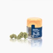CAM | Brain Dead | Pre-Pack | [3.5g] | Hybrid