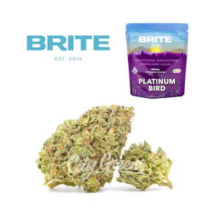 Brite - Platinum Bird - 1/8th [Brite]