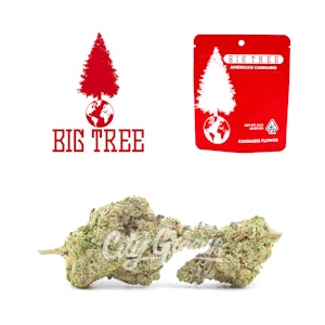 Big Tree - Lunch Box - 1/8th [Big Tree]