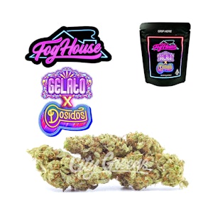 FogHouse - Gelato x Dosidos - 7g [FogHouse]