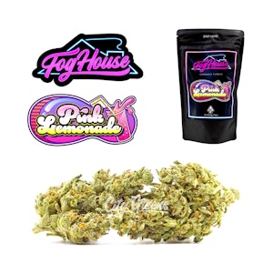 FogHouse - Pink Lemonade - 1oz [FogHouse]