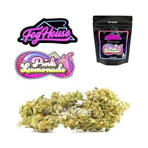 FogHouse - Pink Lemonade - 7g [FogHouse]