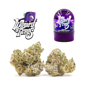 Wizard Trees - Black Magic - Indoor - 1/8th [Wizard Trees]