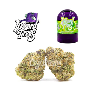 Wizard Trees - Limelight - Indoor - 1/8th [Wizard Trees]