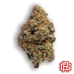 THE CROP SHOP (SD) - White Cherry Flower