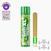 Jeeter XL | Kiwi Kush | Infused Pre-Roll | [2g] | Indica