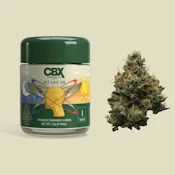 CBX | Jet Lag | Pre-Pack | [3.5g] | Indica