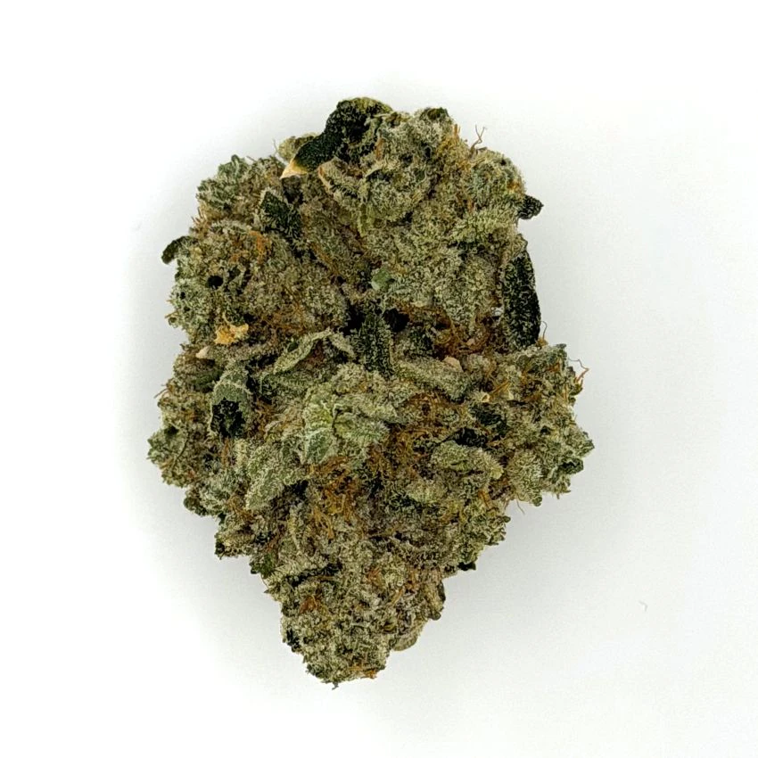 Craft Hydroponic - Papaya X #1 | 3.3g Main Image