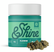 Orange Herijuana Shake - 7g