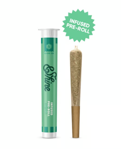 &SHINE - Mixed Single Infused Preroll - 1g
