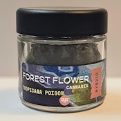 Forest Flower - Tropicana Poison - 23.70% THC - 3.5g - Dry Flower