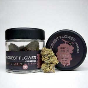 FOREST FLOWER - Forest Flower - Why U Gelly - 22% THC - 3.5g - Dry Flower