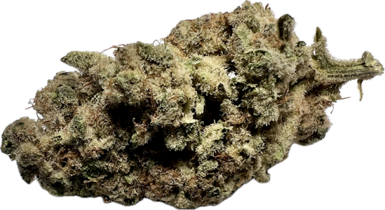 LOUDPACK - Loudpack- Governmint Oasis 3.5g