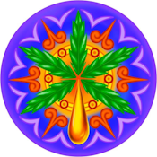 HELLA WAXXY | BLUMOSA ROSIN | EXTRACT | 1G