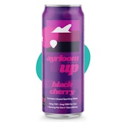 Ayrloom - Black Cherry Seltzer - 2:1 (10mg THC: 5mg CBD) - 12oz Single Can