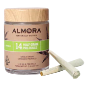 Illemonati (H) | 0.5g 14pk Pre Rolls | Almora Farms