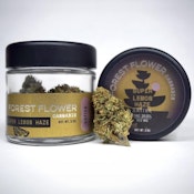 Forest Flower - Super Lemon Haze - 19.7% THC - 3.5g - Dry Flower