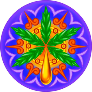 HELLA WAXXY - HELLA WAXXY | CANDIED ORANGES ROSIN | EXTRACT | 1G