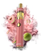 Dime Guavalicious (S) 2g AIO