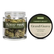 Florist Farms - Grandi Guava - 26.7% THC - 7 grams - Dry Flower