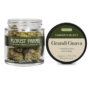 FLORIST FARMS - Florist Farms - Grandi Guava - 26.7% THC - 7 grams - Dry Flower