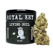 Royal Key - Hammerhead - Premium Indoor - Sativa Hybrid - 3.5g