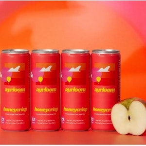 AYRLOOM - Ayrloom - 4 Pack - Honey Crisp Apple Cider 1:1 (5mg THC:5mg CBD) - 20mg - 5mg x 4ct - Beverage