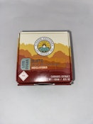 Higher Cultures Live Resin 1g - Mintz