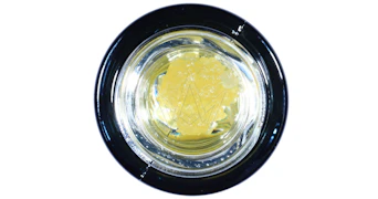 West Coast Cure - Ultra Jack Live Resin Sugar - 1g