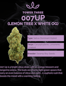 Tower Three - 3.5g - 007 Up
