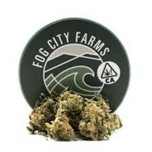 Fog City Farms - Kush Mints 7g