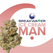 [MED] Breakwater | Ice Cream Man | 3.5g Flower