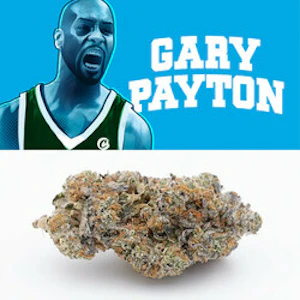 Cookies - Gary Payton - 3.5g (IH) - Cookies