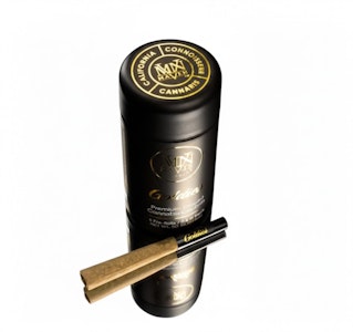 MAVEN GENETICS - Maven - Prerolls - Infused - Orange Bellini - 3G