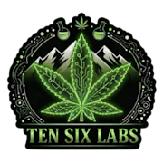 Ten Six - Silverback Gorilla - 4g