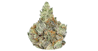 LAX Packs - Kashmir - 3.5g