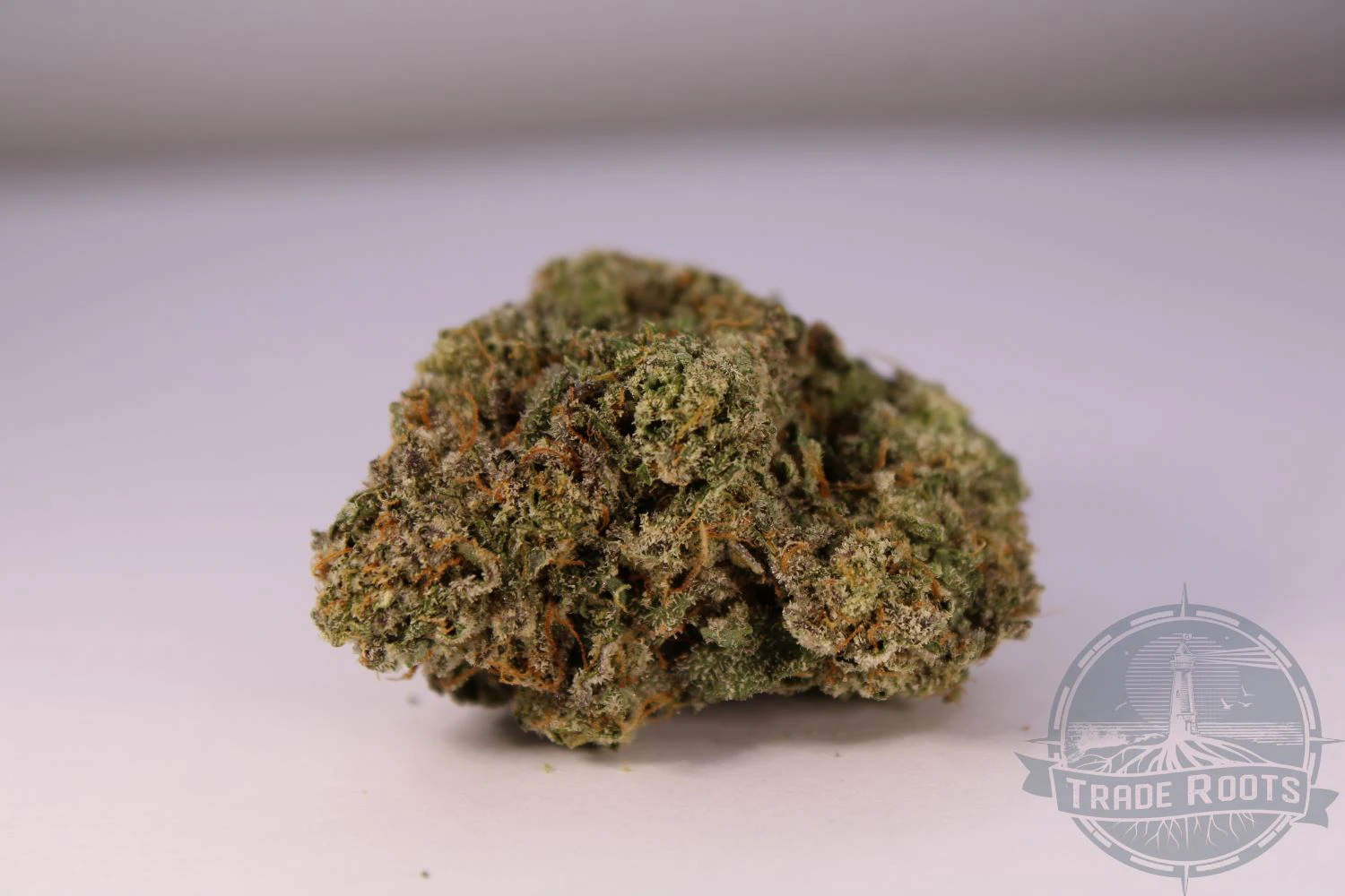 TRADE ROOTS - Ice Cream Cake Flower - 3.5g - TRR Main Image