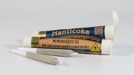 Nanticoke - Memory Loss - .5g - Preroll