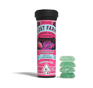 LOST FARM - Raspberry Gummies - 100mg - Edible