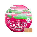 Kiva Camino Sours 100mg Watermelon Spritz 