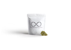 (P) Perpetual | All TIme High (H) - Flower 3.5g