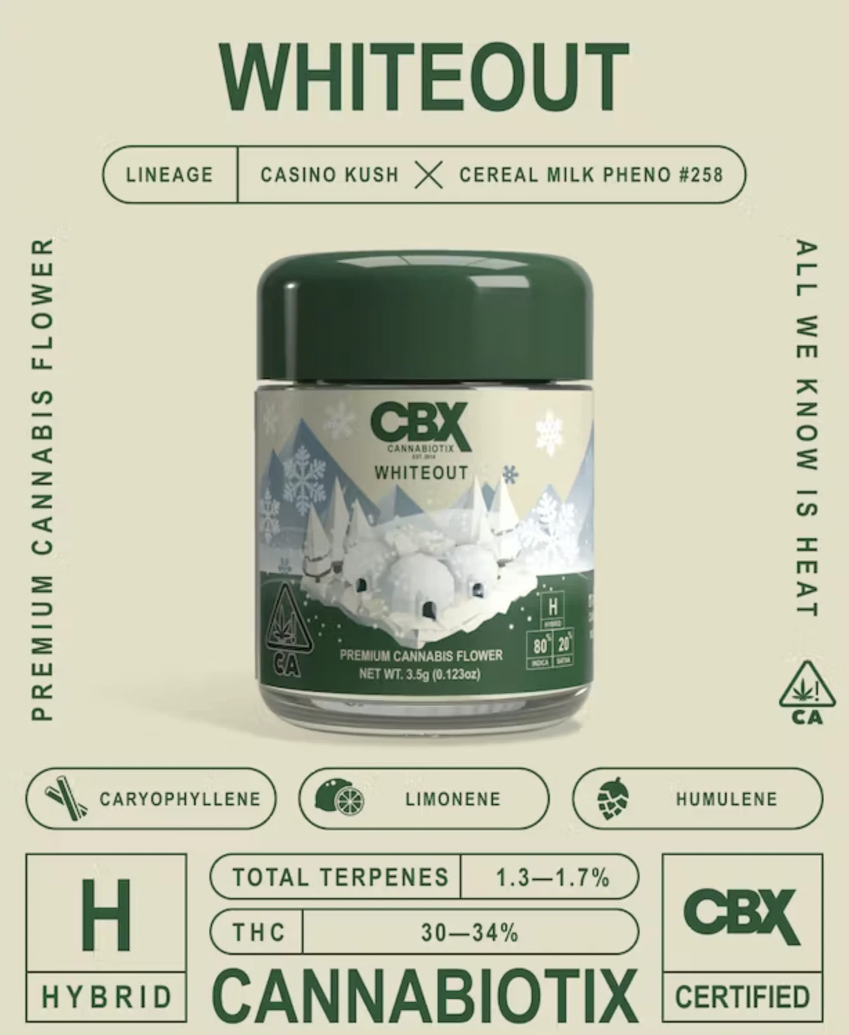 Cannabiotix - Whiteout (H) | 3.5g Jar | Cannabiotix Main Image