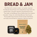 Bread & Jam | Bundle